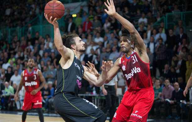 展示了他们 展示了他们