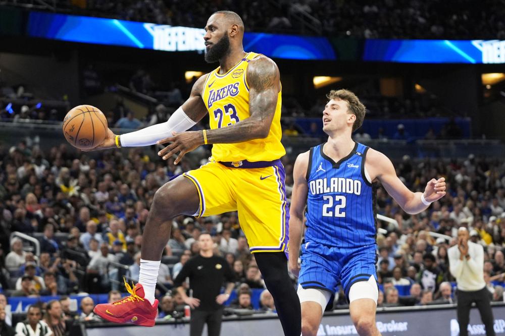 7分维金斯 7分维金斯